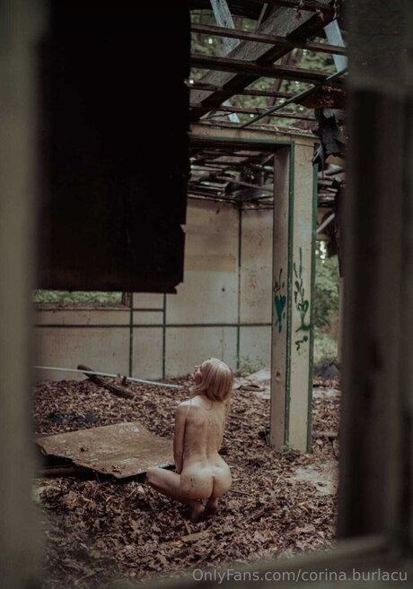 Corina Burlacu Profilbild