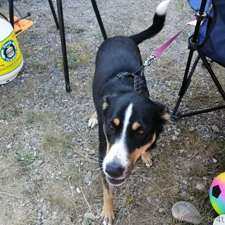 Submissiv3 Br4t erotische kostenlose bild