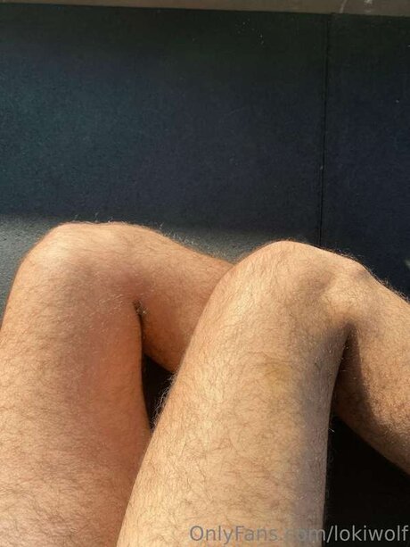 Lokiwolf kunst pornostar galerien