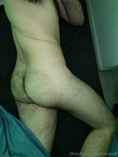 Lokiwolf hd freie galerien