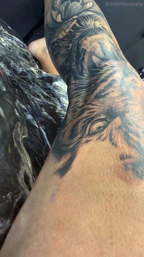 Kindellovesvip beste pornostar bild