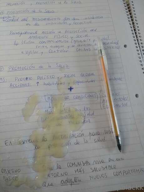 Pierconte schöne archiv