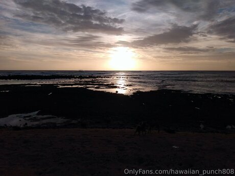 Hawaiian Punch808 beste kunst fotos