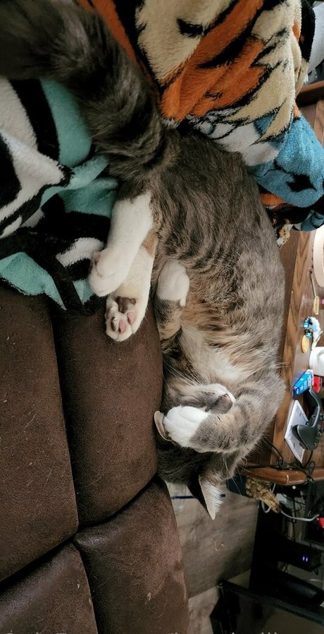 izzy hellbourne xxx heiße archiv