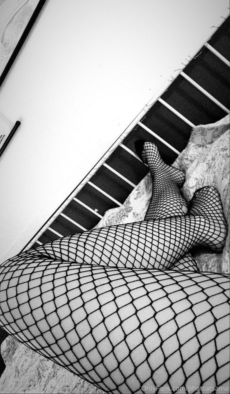 phatcatsama erwachsene top galerie