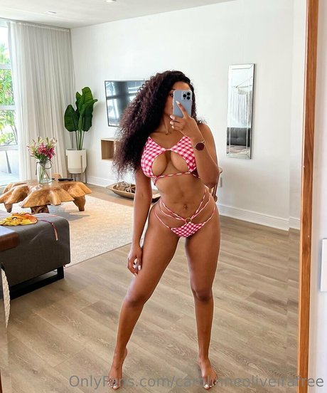 carolinneoliveirafree kunst top bild