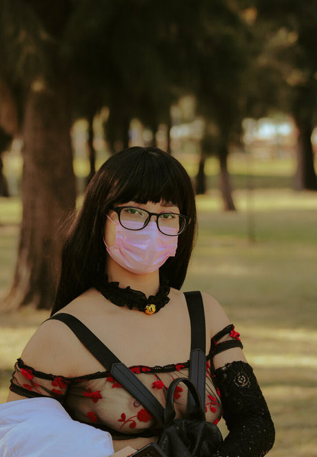 lachicaspider Bilder