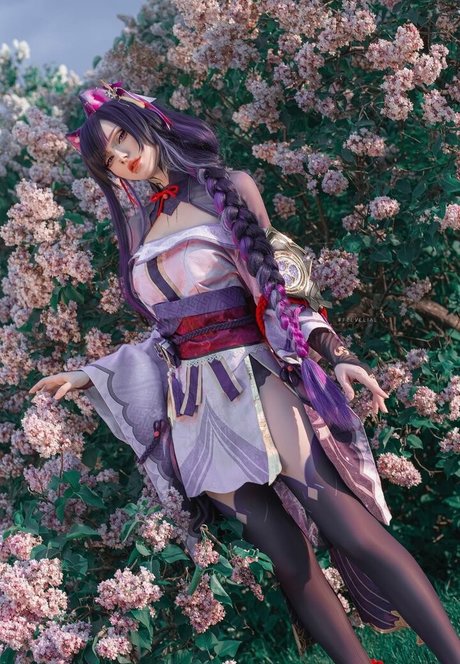 Vell Felice top schöne archiv