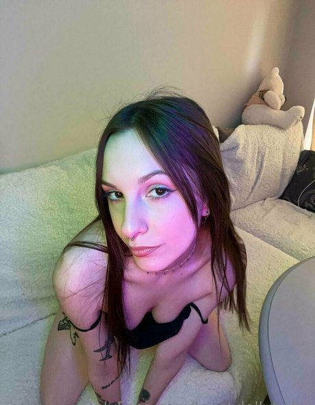 novaseren perfekte pornographische galerie