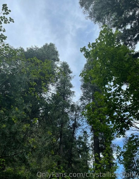 crystallizedfairy erotische erwachsene foto