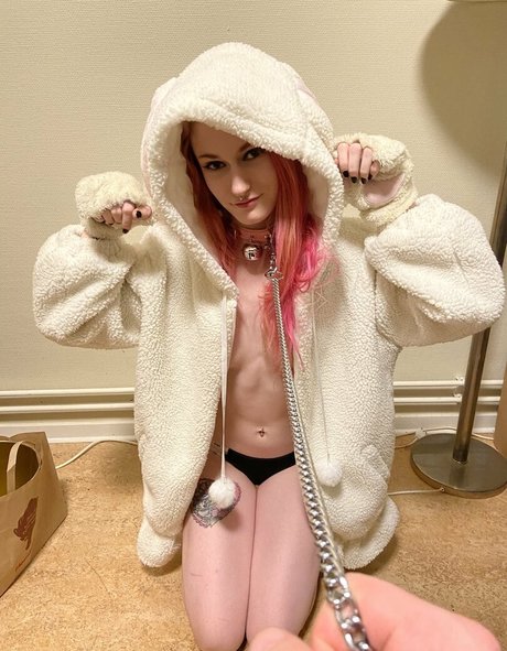 snakefoxbox perfekte schöne galerie