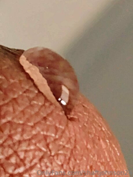 Count Cockula Bilder