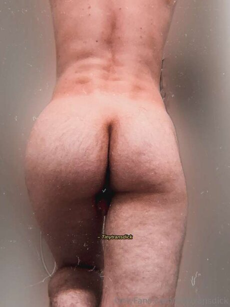 Tinytransdick model schöne galerien