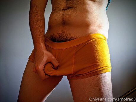 Amofred3 exklusive kunst galerie