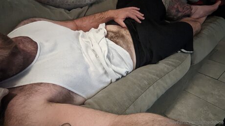 Alfredshoe perfekte erwachsene fotos