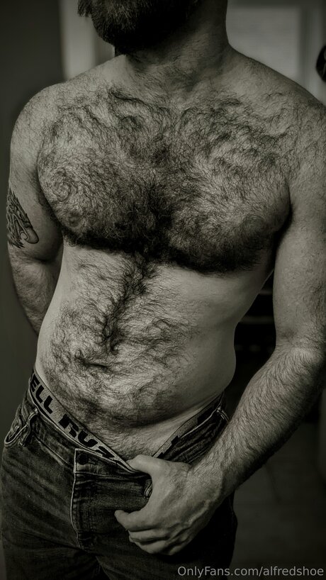 Alfredshoe akt archiv