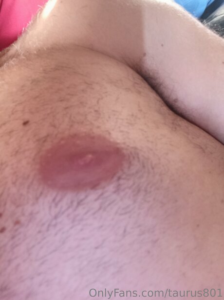 Taurus801 Profilbild