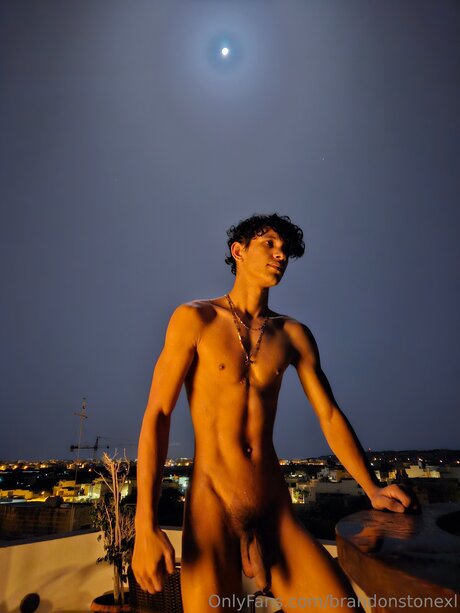 Brandonstonexl perfekte nacktheit galerie