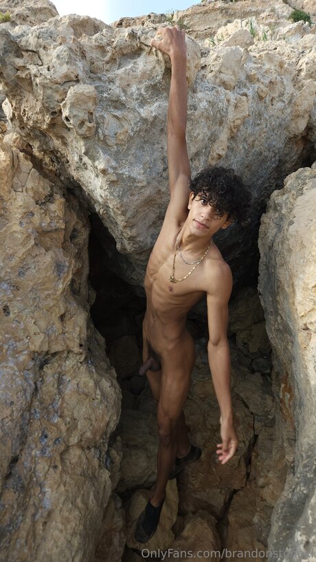 Brandonstonexl exklusive hübsche galerien