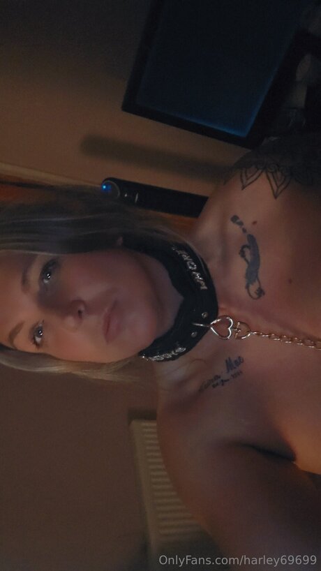 Harley69699 kunst xxx bilder