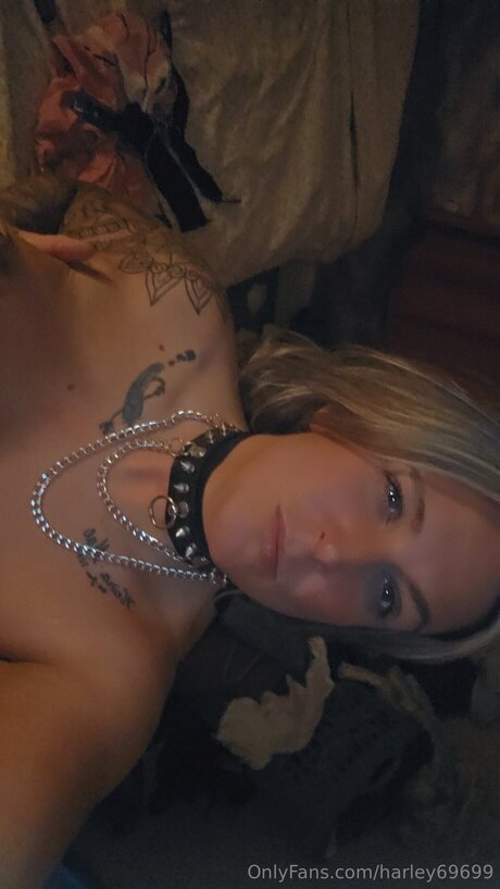 Harley69699 erwachsene archiv