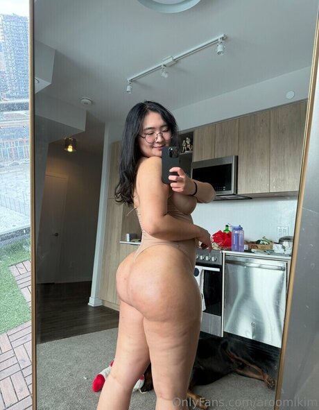 Aroomi Kim kunst beste galerie