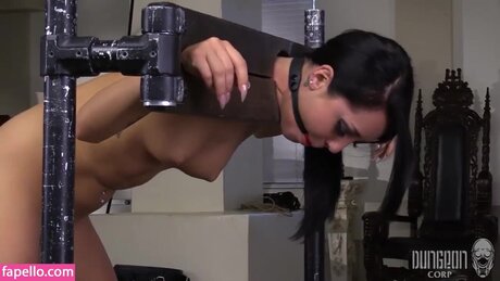 schwänze nur fans xxx perfekte fotos