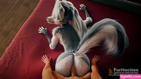 furflection beste top bild