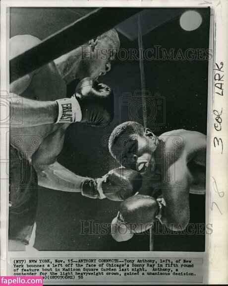 sonnyray schauspielerin sex archiv