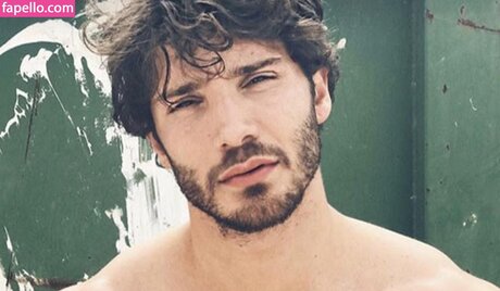 Stefano De Martino Profilbild