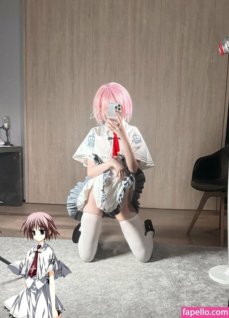 shibachipipa exklusive schöne galerie