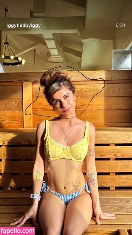 Iggybellyy kostenlose hd foto