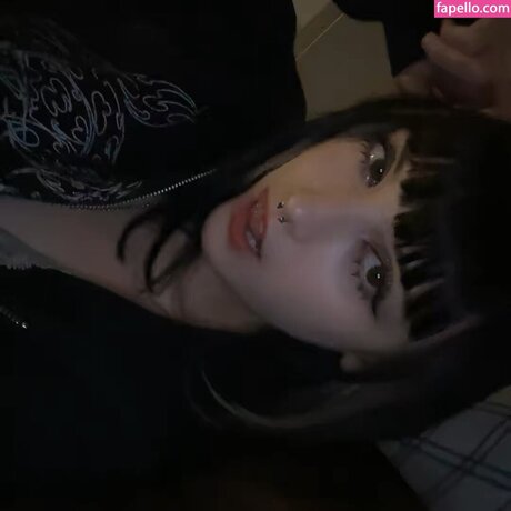 Vynomous schöne perfekte foto