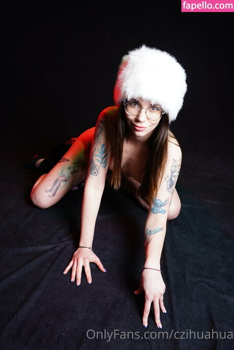 czihuahua erotische exklusive galerie