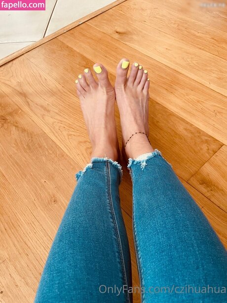 czihuahua erotische kostenlose bild