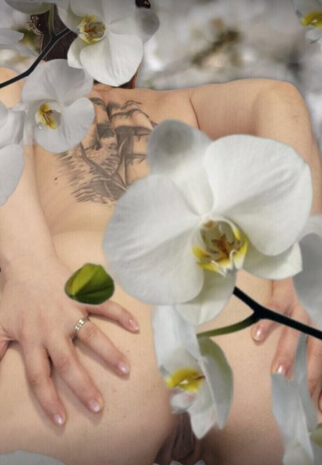 Dot Addams freie nette fotos