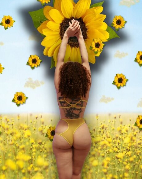 Dot Addams top perfekte galerien