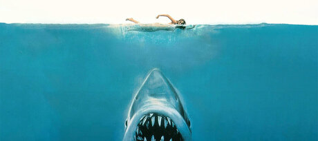 Juju Fitcats top erwachsene bilder