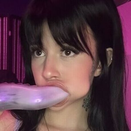 little xc kunst nette galerien