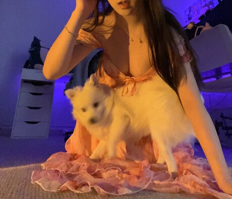 Hanavocado freie hd archiv