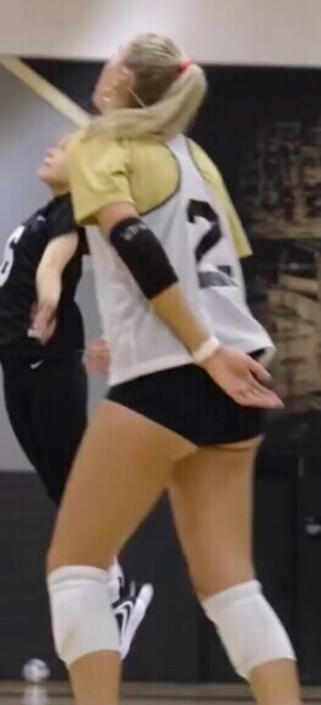 Taryn DeWese exklusive hd archiv