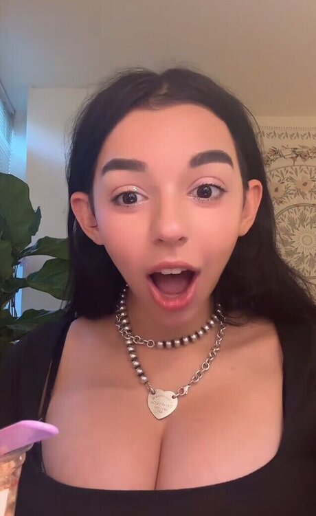 userwholovesnowfall Bilder