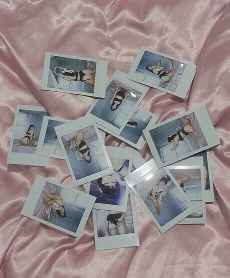 saint miau Profilbild