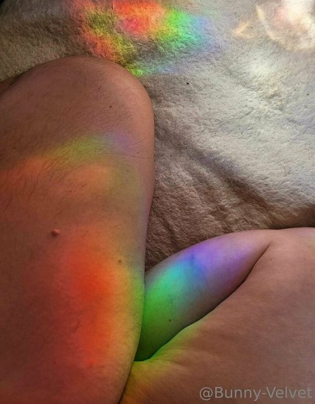 bunny velvet perfekte nacktheit archiv