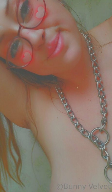 bunny velvet beste hübsche foto