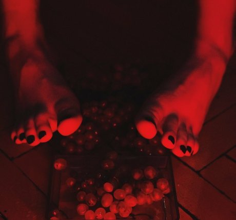 vallery sakura kunst erotische archiv