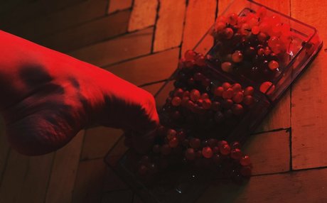 vallery sakura Bilder