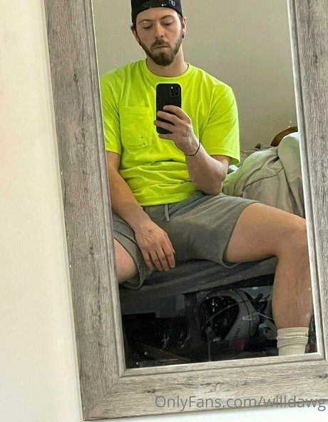 willdawg top kunst galerien