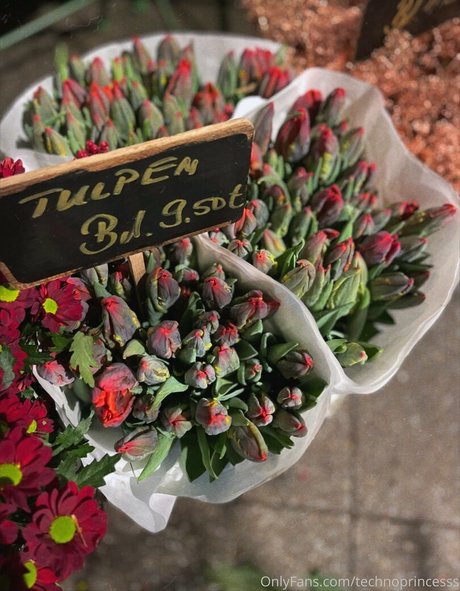 technoprincesss sexy schöne archiv