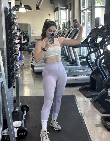 Sloane Wolf kostenlose hd bild